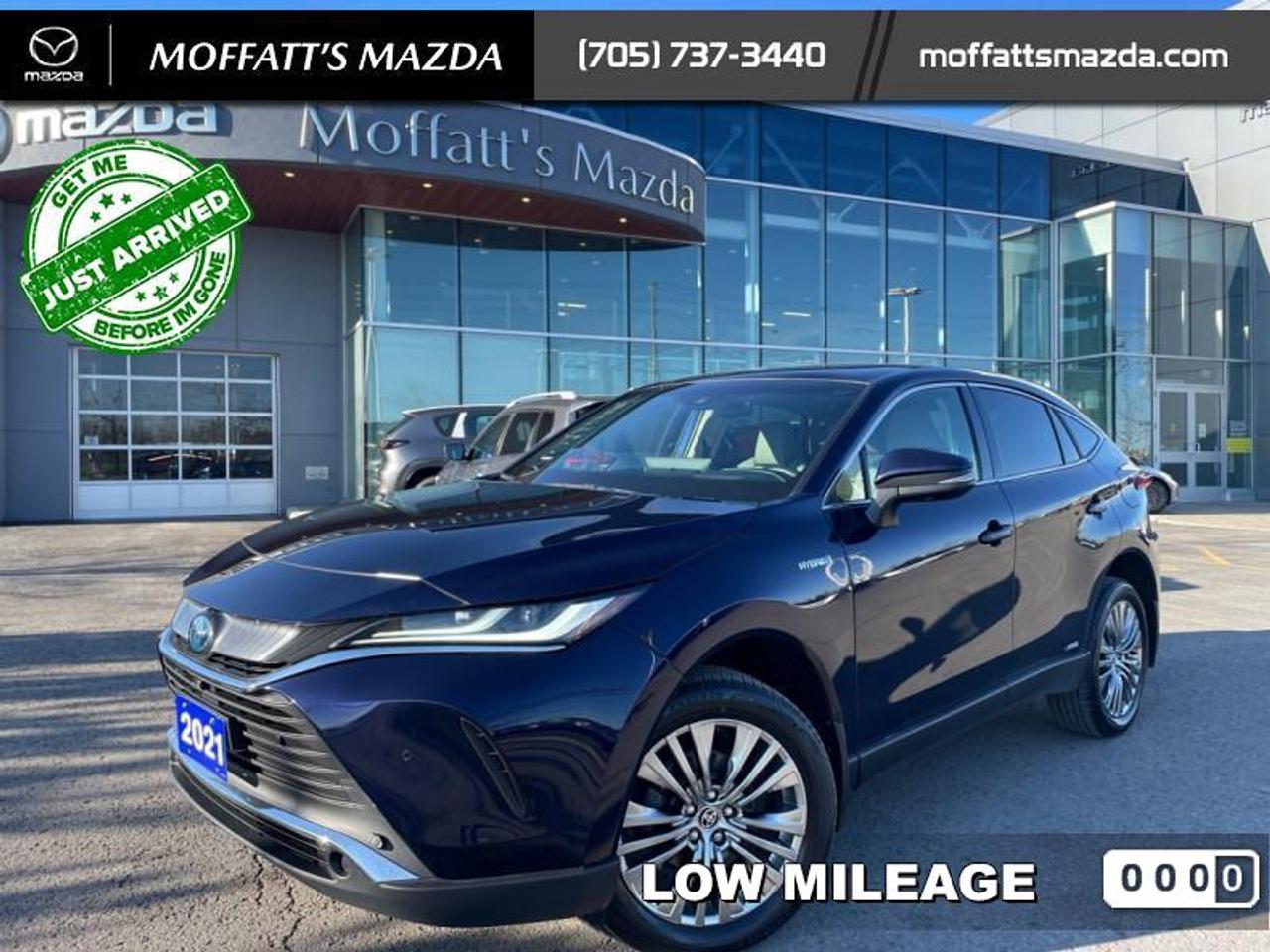 2021 Toyota Venza LIMITED Photo