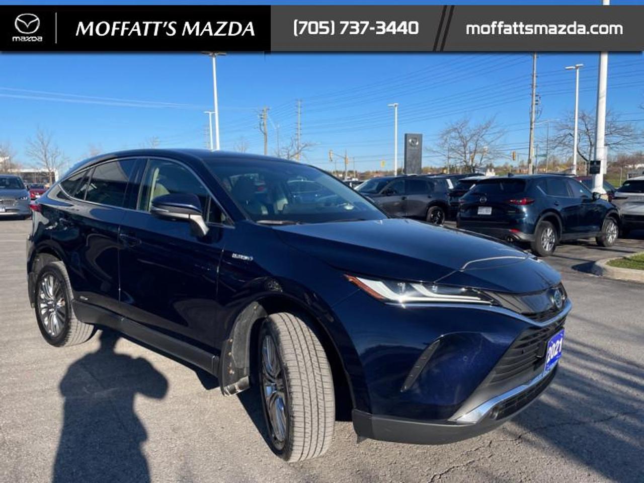 2021 Toyota Venza LIMITED Photo