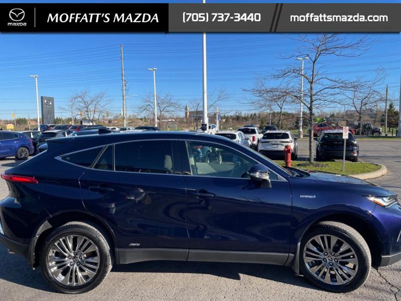 2021 Toyota Venza LIMITED Photo