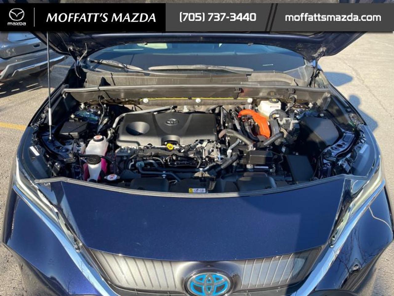 2021 Toyota Venza LIMITED Photo