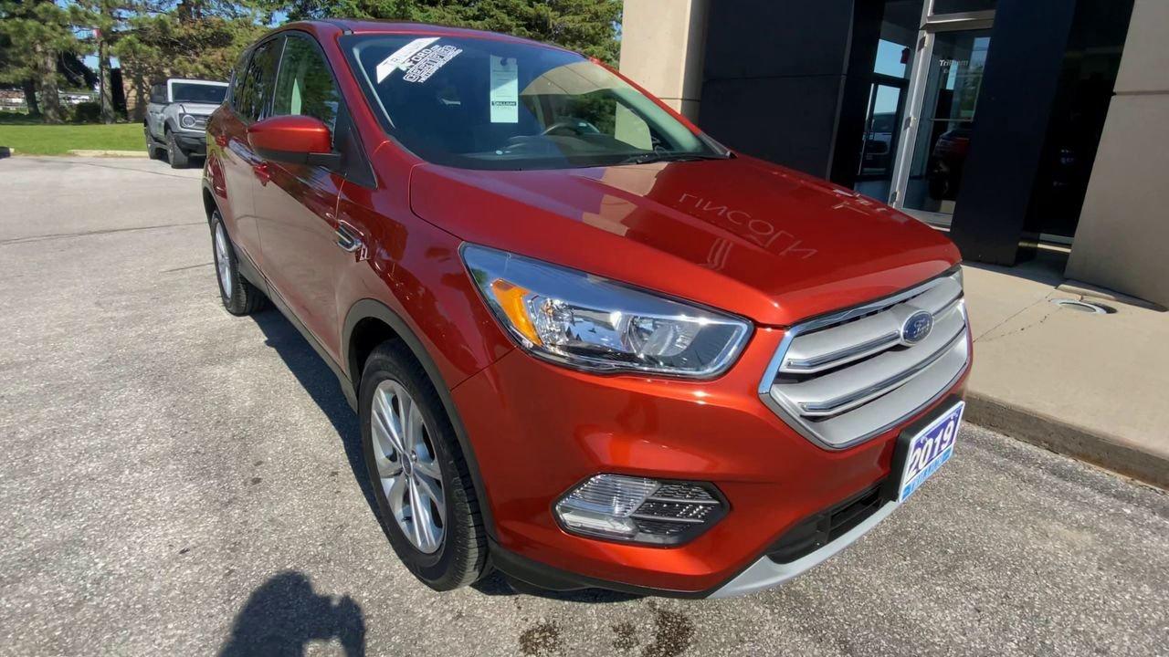 2019 Ford Escape SE Photo