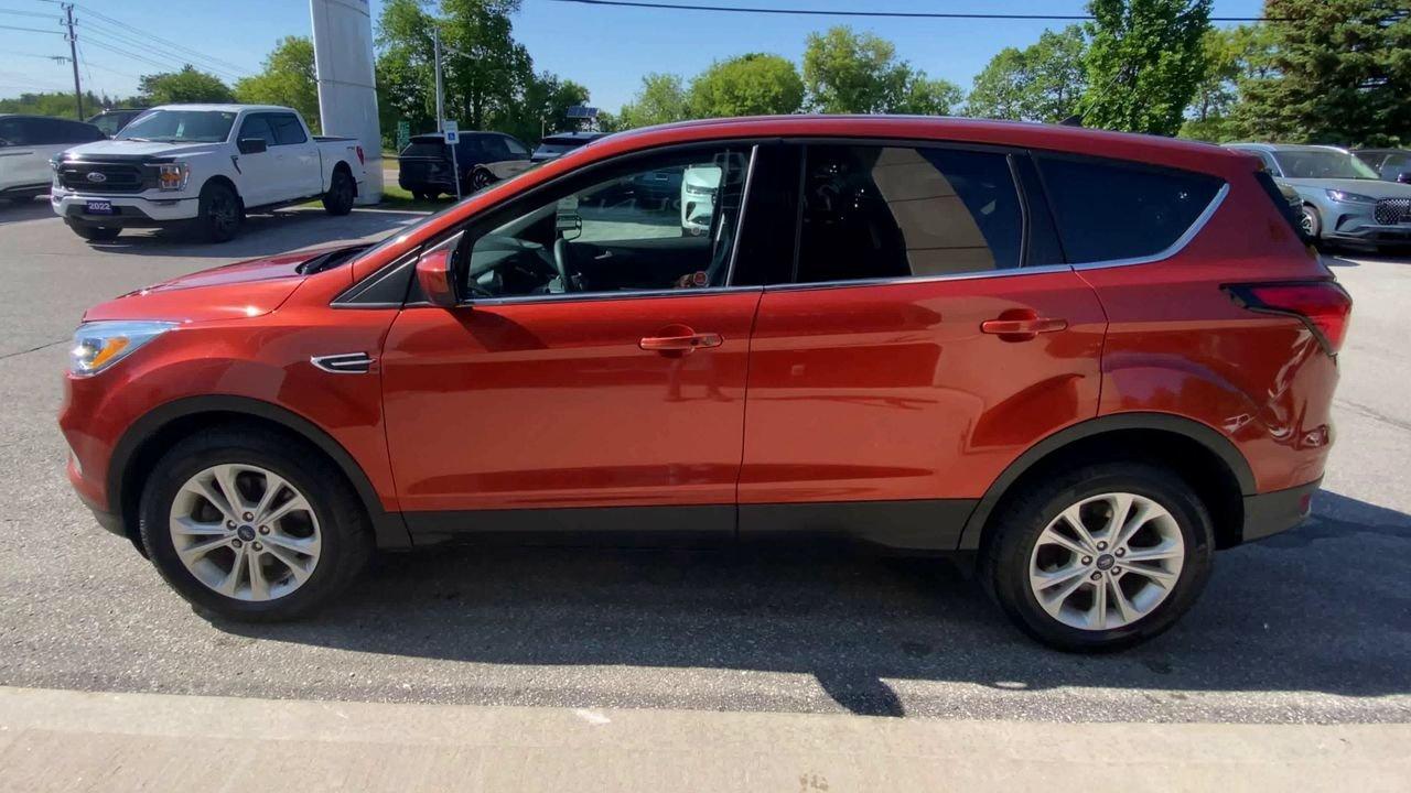2019 Ford Escape SE Photo4