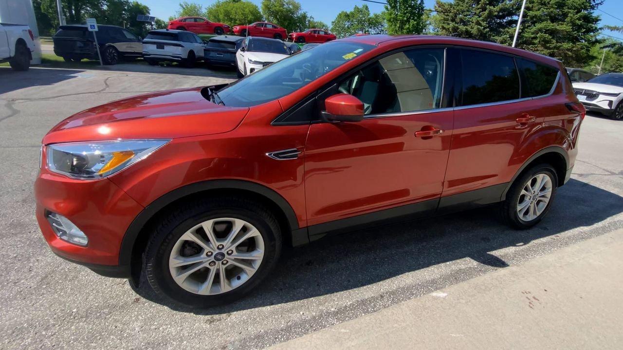 2019 Ford Escape SE Photo