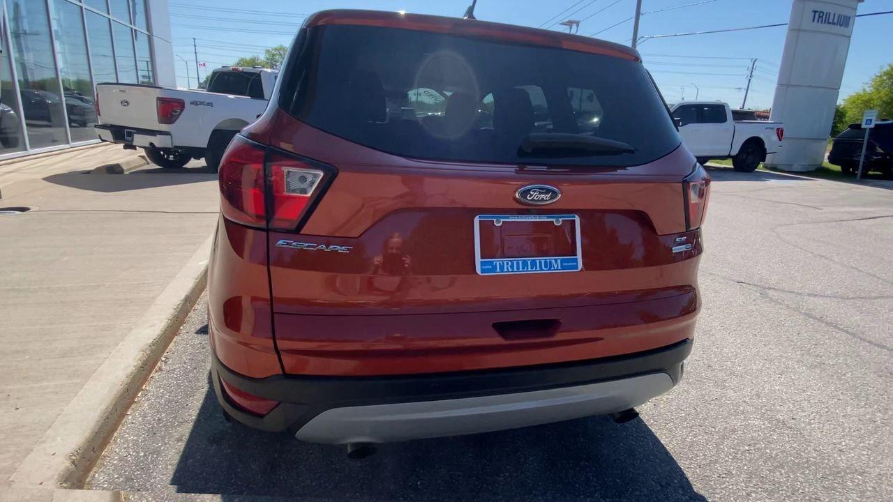 2019 Ford Escape SE Photo