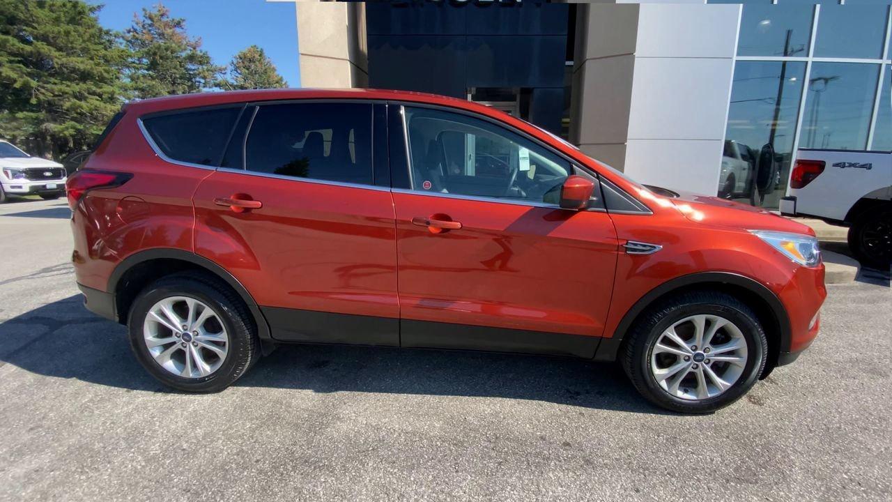 2019 Ford Escape SE Photo