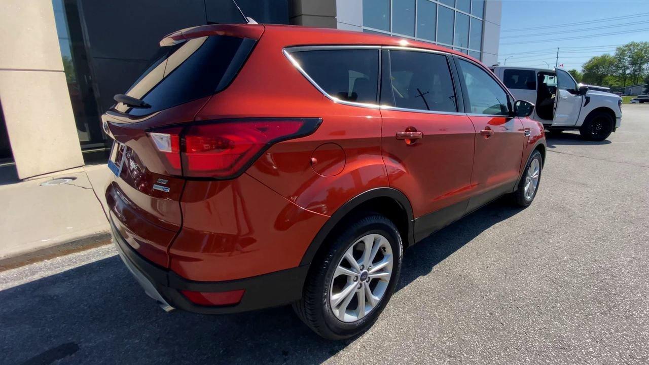 2019 Ford Escape SE Photo