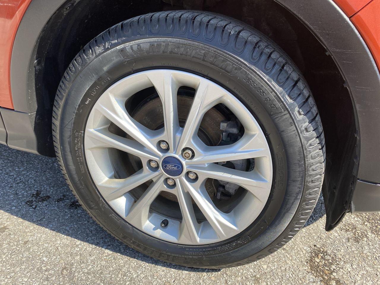 2019 Ford Escape SE Photo