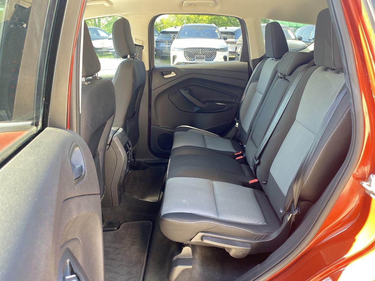 2019 Ford Escape SE Photo