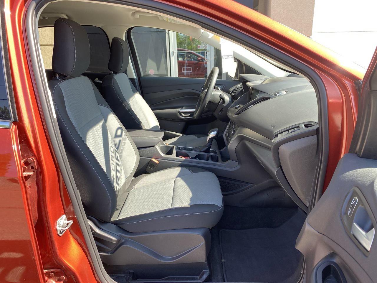 2019 Ford Escape SE Photo