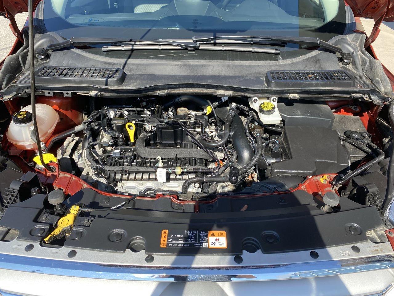 2019 Ford Escape SE Photo