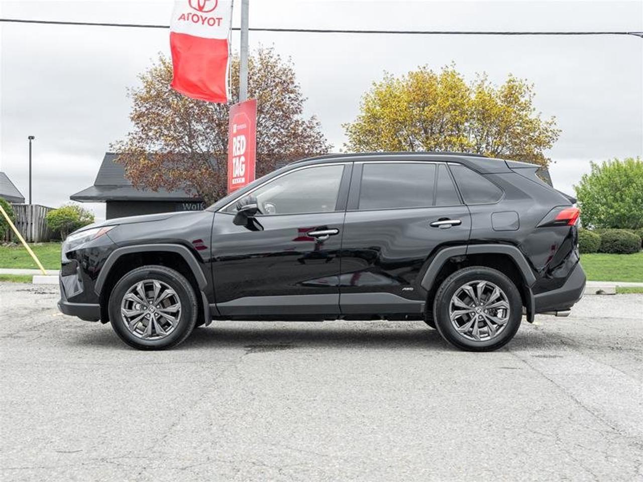 2024 Toyota RAV4 Hybrid Limited AWD Sunroof | JBL Audio | Front Cam | Vented Seats | AWD Photo2