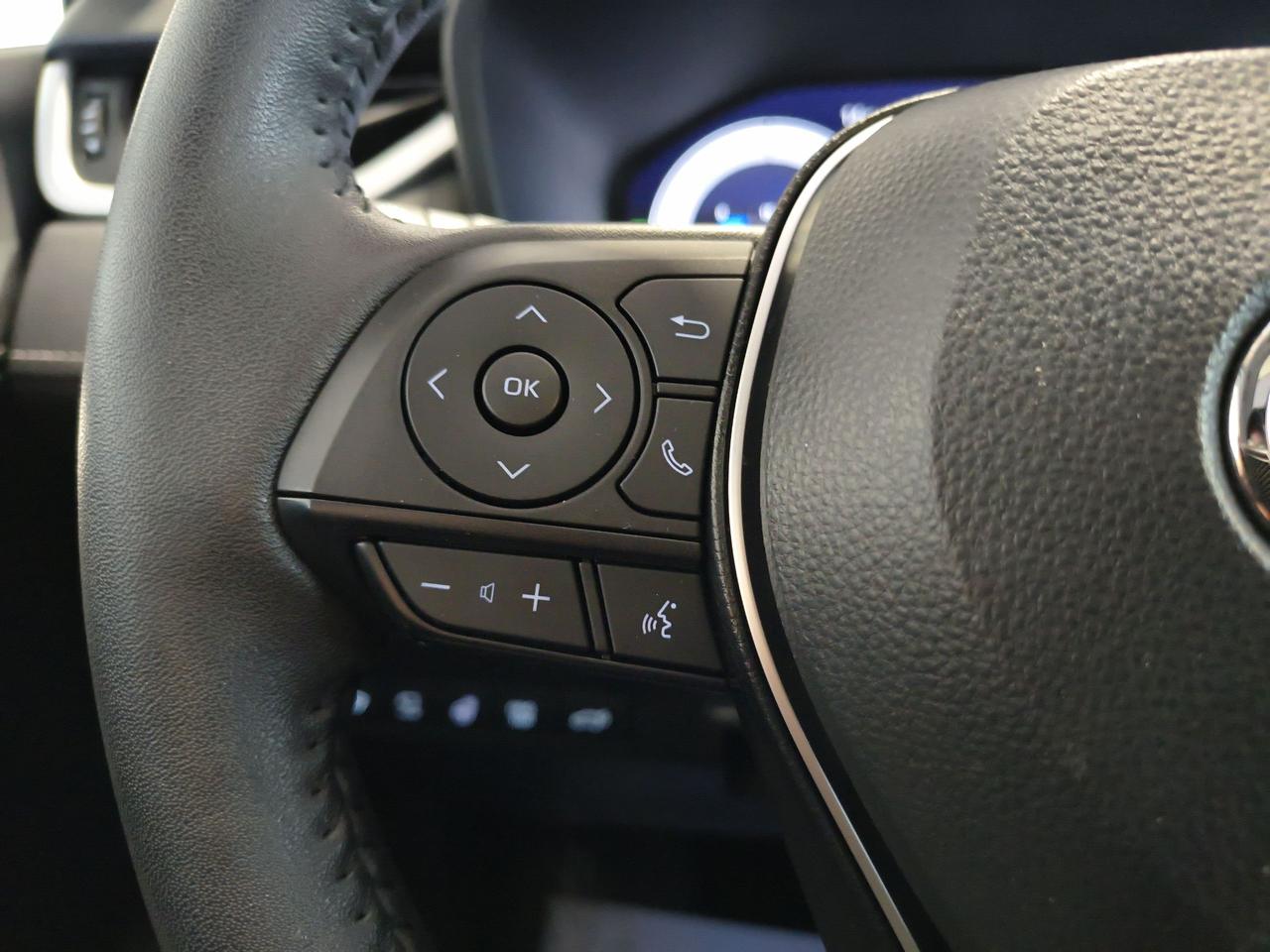2023 Toyota RAV4 Hybrid Limited Photo