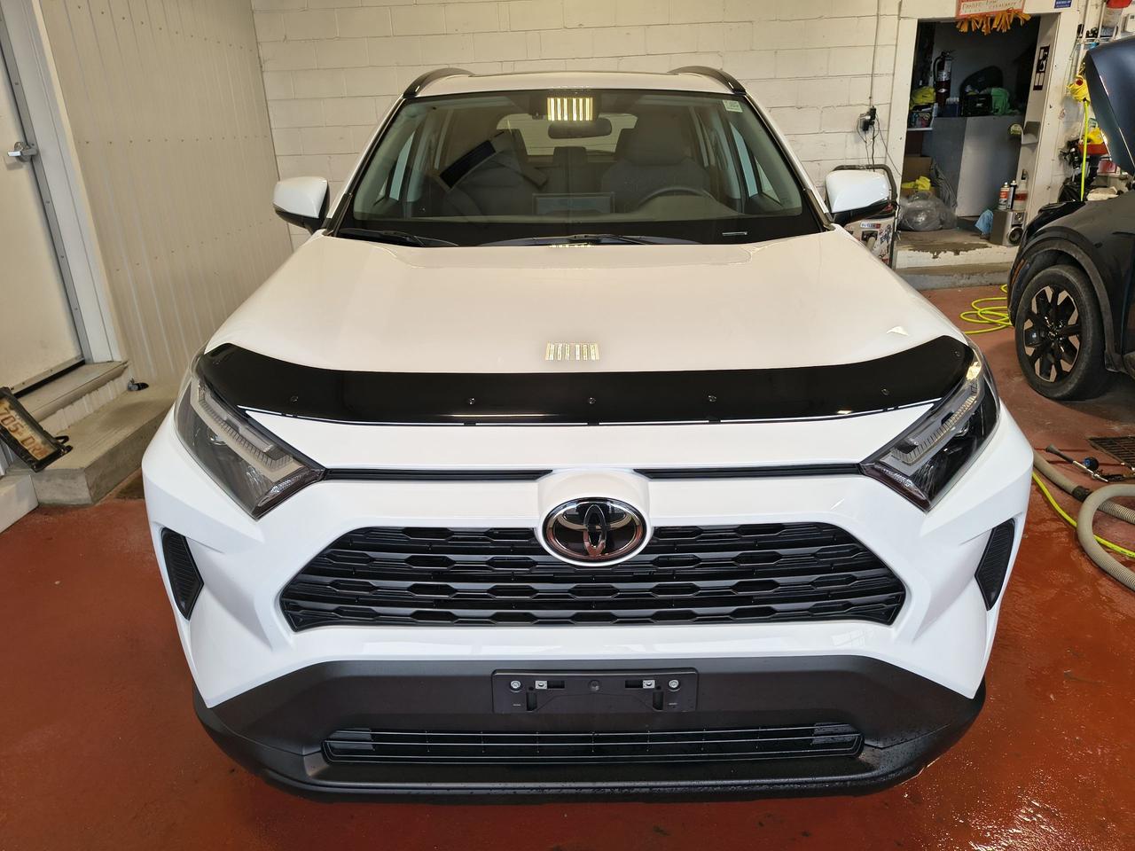 2024 Toyota RAV4 XLE Photo0