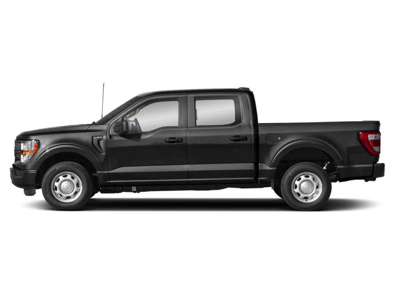2022 Ford F-150  Photo