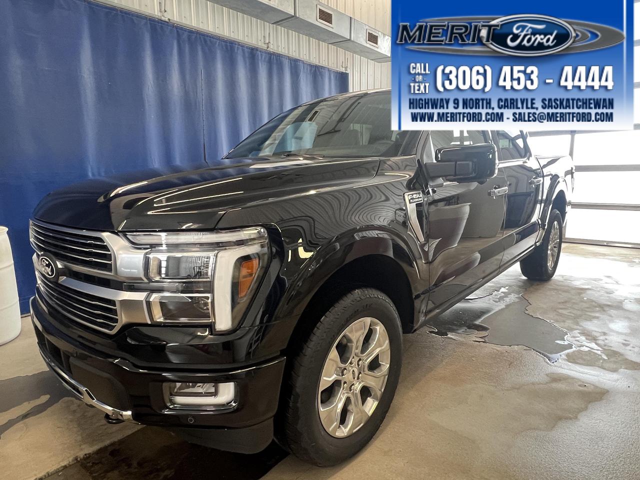 2026 Ford F-150 Platinum Photo1