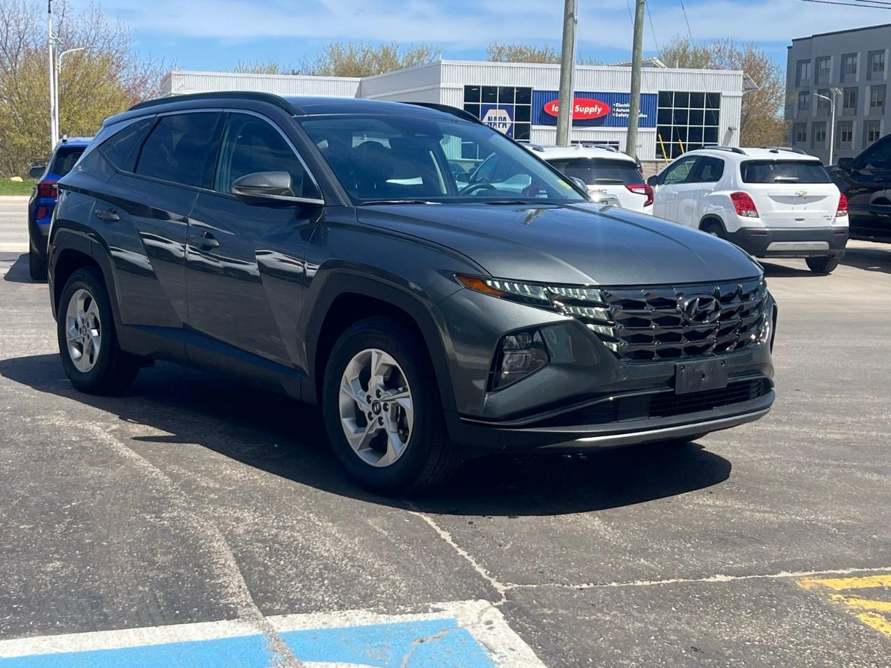 2024 Hyundai Tucson TREND AWD Photo
