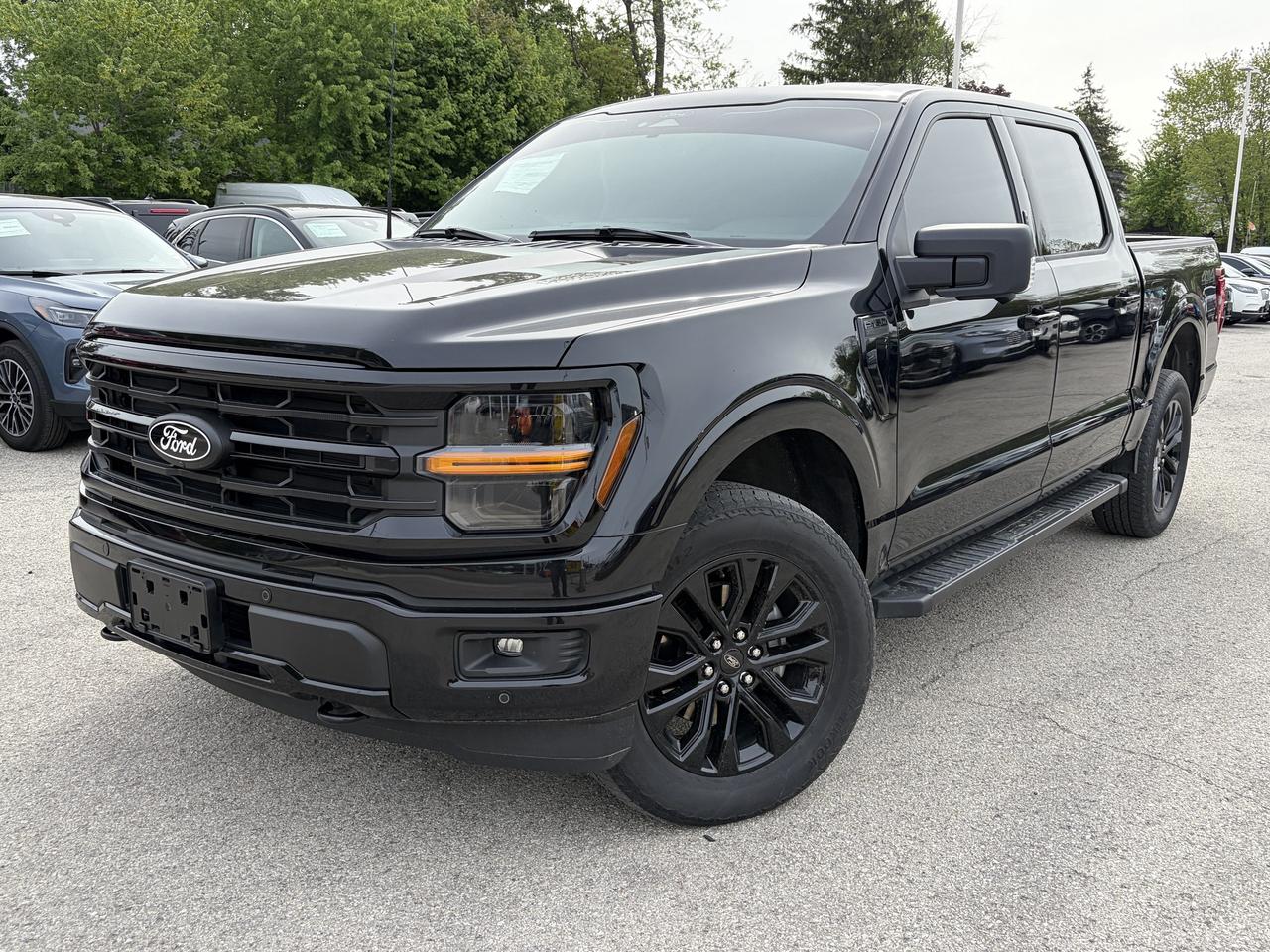 2024 Ford F-150 XLT 4WD SuperCrew 5.5' Box Photo