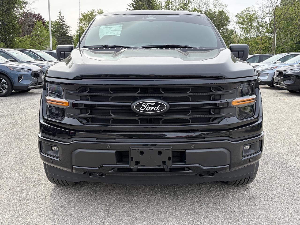 2024 Ford F-150 XLT 4WD SuperCrew 5.5' Box Photo