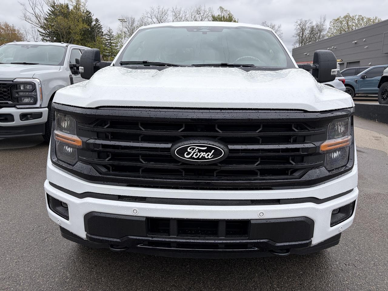 2026 Ford F-150 XLT 4WD SuperCrew 5.5' Box 302A Photo2