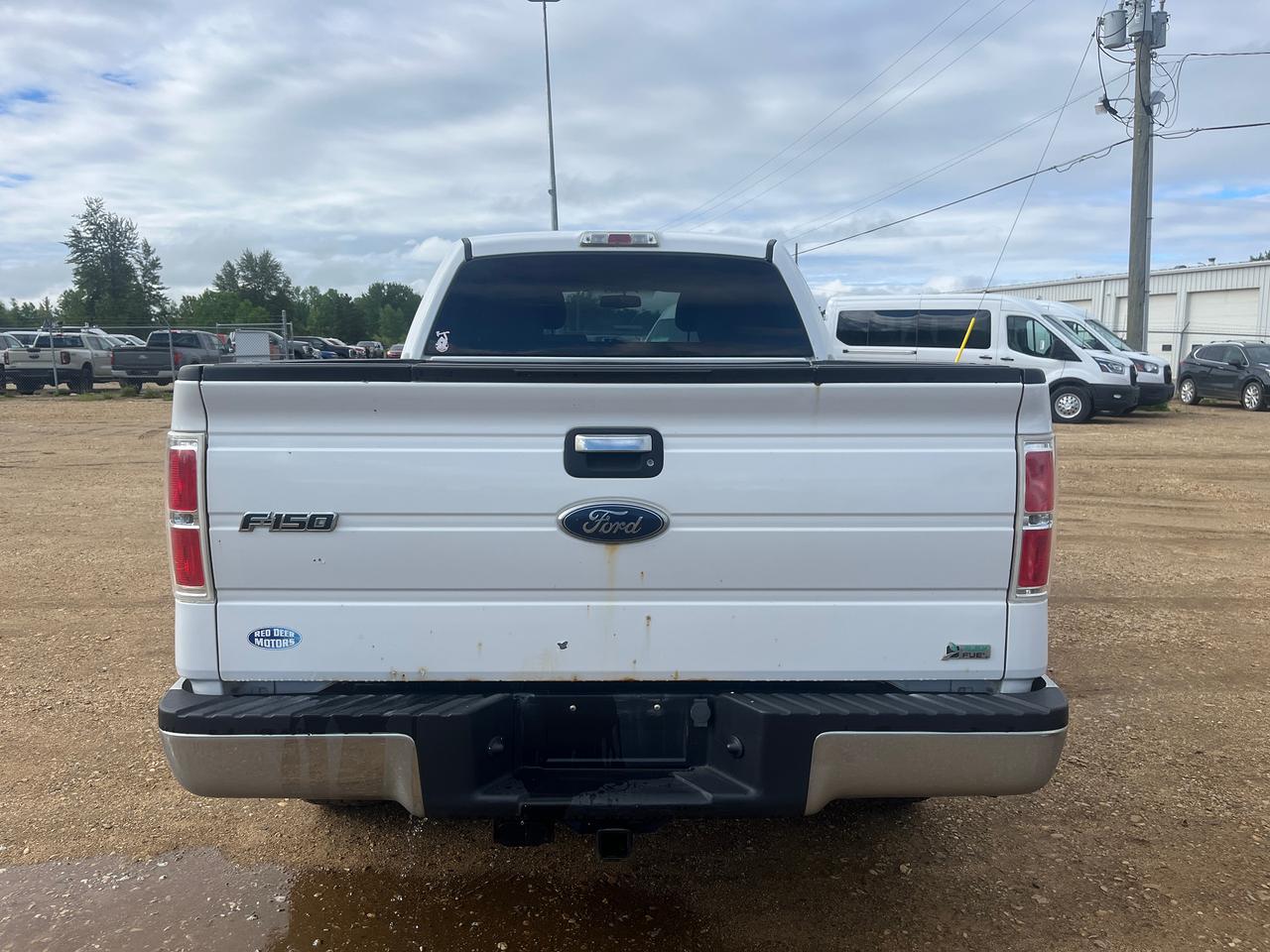 2010 Ford F-150 XLT Photo3