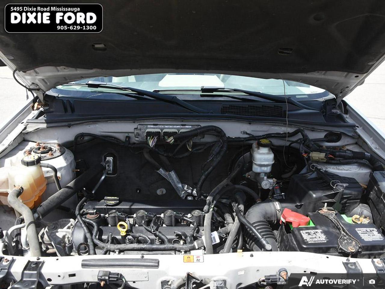 2010 Ford Escape XLT Photo
