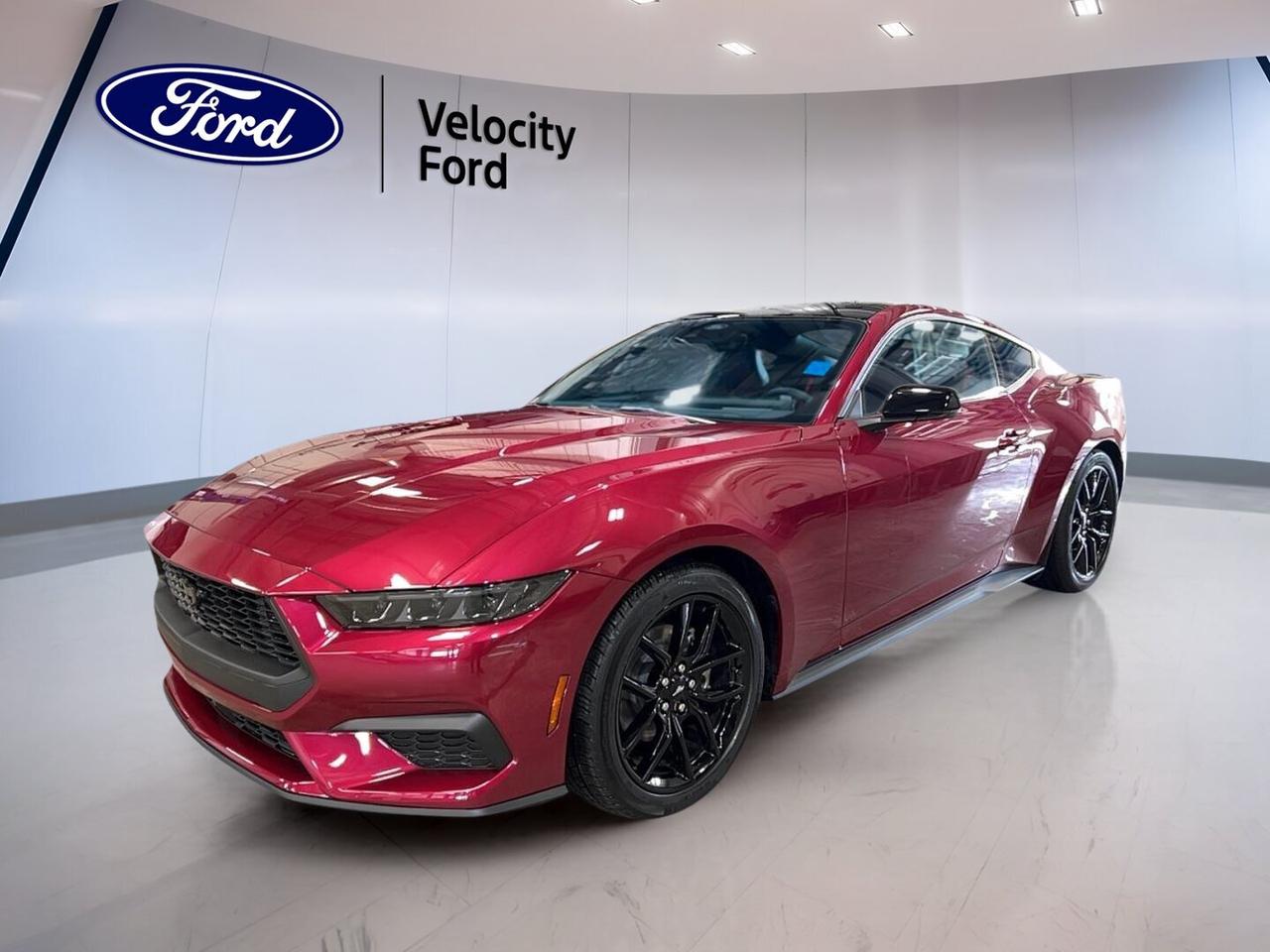 Fresh, athletic, and ready to impress, this brand new 2026 Ford Mustang EcoBoost Premium Fastback brings iconic coupe style to Moose Jaw with modern comfort and smart technology. Finished in Red with a Red interior, this 2-door Ford Mustang EcoBoost Premium Fastback pairs a 2.3-litre unleaded engine with an automatic transmission for confident daily driving.

This new Ford Mustang EcoBoost Premium Fastback delivers the classic Mustang feel with a refined edge. It blends sporty design, easy-to-use features, and advanced driver aids into one exciting package. From its rear spoiler to its LED headlamps, every detail supports a bold road presence and a rewarding drive.

FEATURES OF THE Mustang EcoBoost Premium Fastback

»» Premium fastback design with sporty profile
»» 2.3-litre turbocharged-style Mustang performance feel
»» Automatic transmission for smooth daily driving
»» Red exterior with matching Red interior

ADVANCED SAFETY FEATURES

»» Anti-lock braking system supports controlled stops
»» Stability control helps maintain road confidence
»» Backup camera assists during reversing manoeuvres
»» Blind spot monitor adds lane-change awareness

PERFORMANCE AND EFFICIENCY

»» 2.3-litre unleaded engine balances power efficiently
»» Automatic transmission delivers smooth gear changes
»» Limited slip differential improves traction control
»» Performance tires enhance grip and response

COMFORT AND CONVENIENCE

»» Heated front seats add cold-weather comfort
»» Dual-zone climate control helps cabin comfort
»» Power driver seat includes lumbar support
»» Push button start adds everyday ease

TECHNOLOGY AND CONNECTIVITY

»» Bluetooth integration supports hands-free connectivity
»» Satellite radio expands entertainment choices
»» HD Radio provides clear audio playback
»» WiFi hotspot helps keep devices connected

CARGO SPACE

»» Rear trunk access makes loading easier
»» Fastback trunk suits everyday travel gear
»» Useful cargo area for weekend bags
»» Cabin storage supports small personal items

WHAT OTHER OWNERS LIKE

»» Strong turbo four-cylinder everyday performance feel
»» User-friendly technology and connected cabin features
»» Comfortable front seating for daily drives
»» Confident handling with sporty road manners

Inside, this Ford Mustang EcoBoost Premium Fastback is equipped for comfort with front air conditioning, automatic climate control, power windows, electric mirrors, an adjustable steering wheel, steering wheel audio controls, ambient lighting, and an illuminated driver and passenger vanity mirror. The power passenger seat adds extra convenience for shared driving comfort.

Safety and awareness features help support peace of mind on every trip. This Ford Mustang EcoBoost Premium Fastback includes driver and passenger airbags, side impact airbags, head side airbags, a passenger airbag sensor, lane departure warning, tire pressure monitoring, automatic headlights, automatic door locks, and a rear window defroster for clear visibility in changing weather.

With its premium feel, athletic stance, and well-chosen features, this new Ford Mustang EcoBoost Premium Fastback offers a smart balance of style, comfort, and performance. It is a great fit for drivers who want an iconic coupe with modern essentials from Velocity Ford in Moose Jaw.

This 2026 Ford Mustang EcoBoost Premium Fastbacks VIN is: 1FA6P8TH2T5124242.