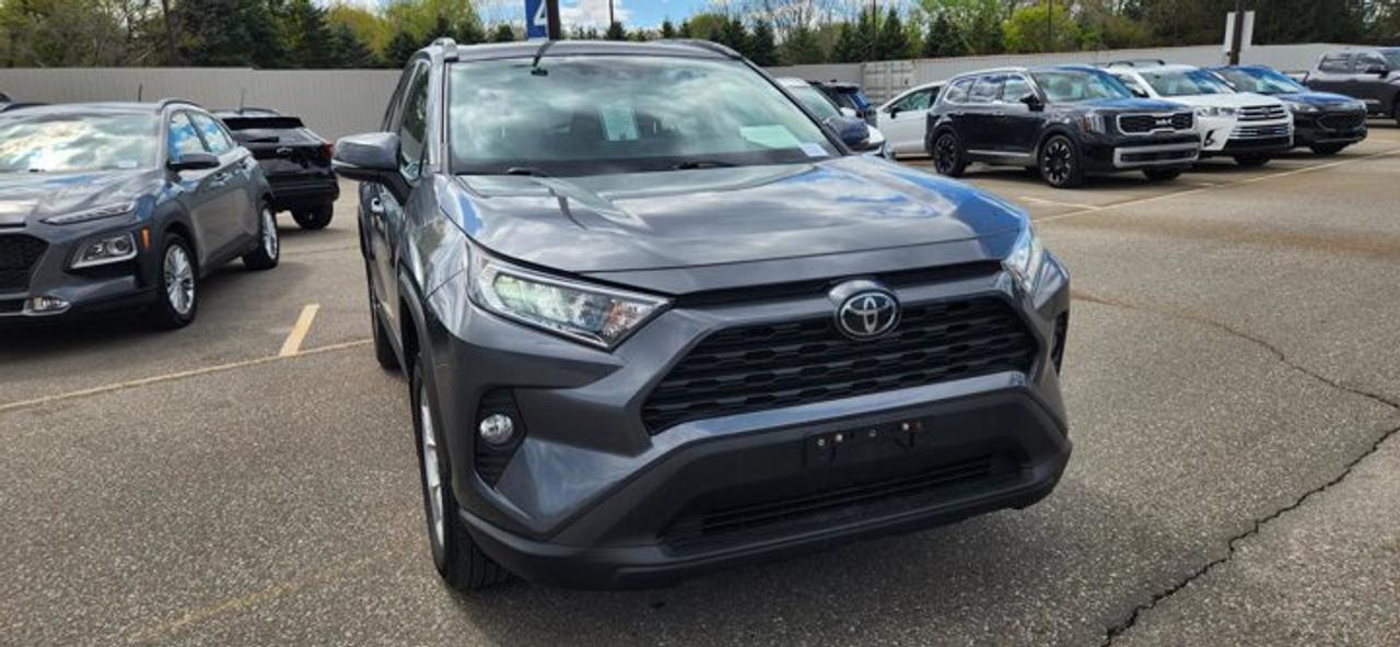 2019 Toyota RAV4 XLE AWD | No Accidents | Sunroof | Heated Steering Photo