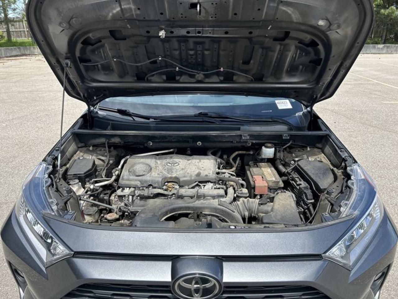 2019 Toyota RAV4 XLE AWD | No Accidents | Sunroof | Heated Steering Photo