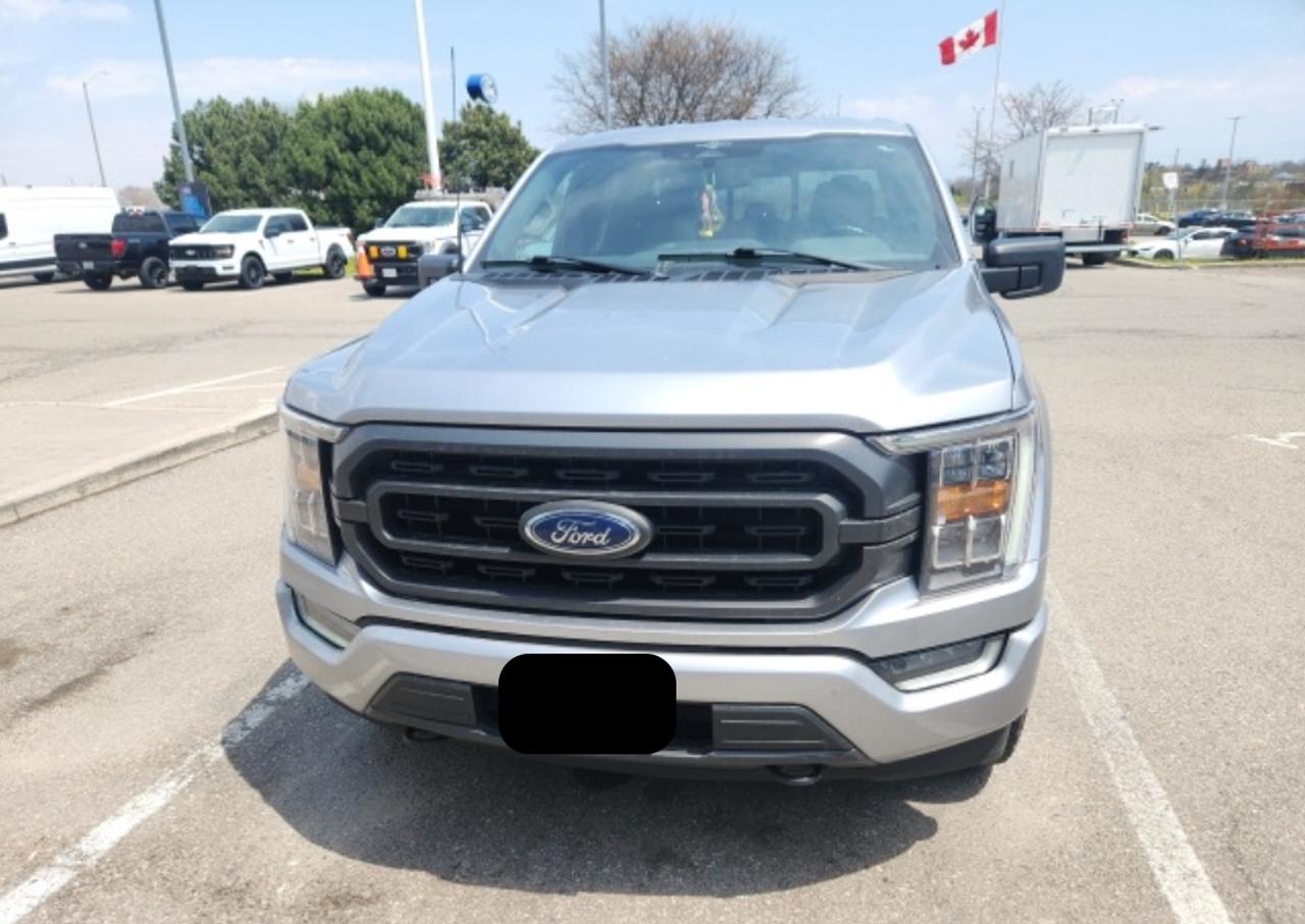 2023 Ford F-150 XLT 302A HIGH|SPORT PK|5.0L V8|WHLS 18 6-SPOKE|FX4 OFF-ROAD PKG|PWR-ADJ PEDALS|TAILGATE STEP Photo