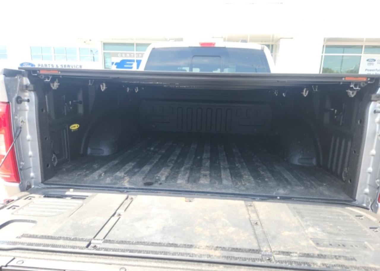 2023 Ford F-150 XLT 302A HIGH|SPORT PK|5.0L V8|WHLS 18 6-SPOKE|FX4 OFF-ROAD PKG|PWR-ADJ PEDALS|TAILGATE STEP Photo