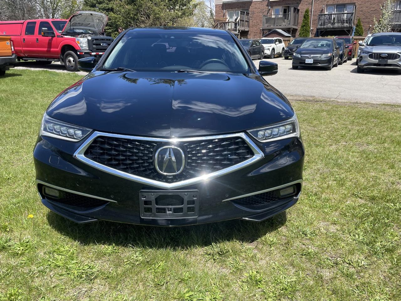 2019 Acura TLX SH-AWD A-Spec Elite *Clean Carfax Photo