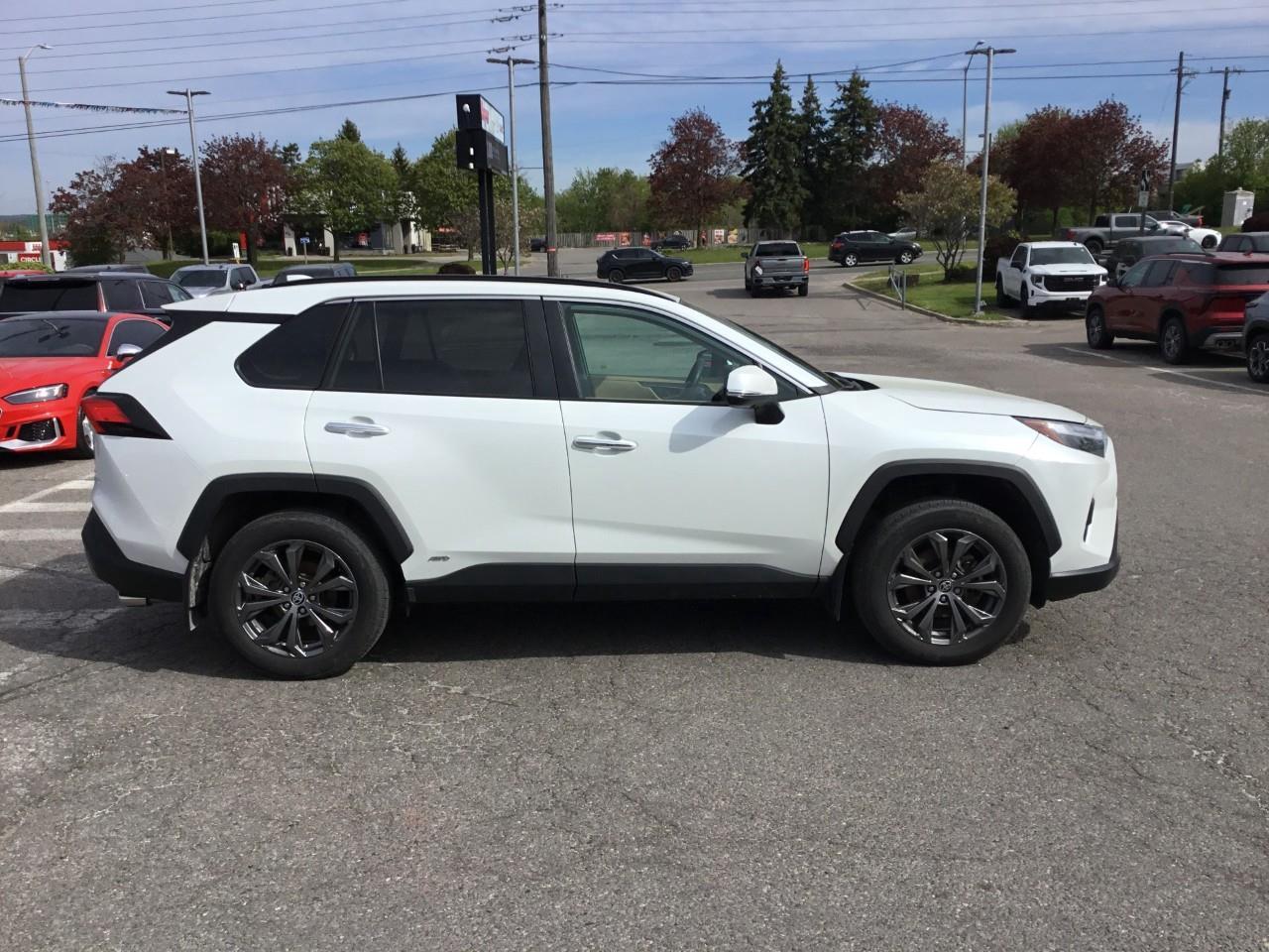 2023 Toyota RAV4 Hybrid Limited Photo