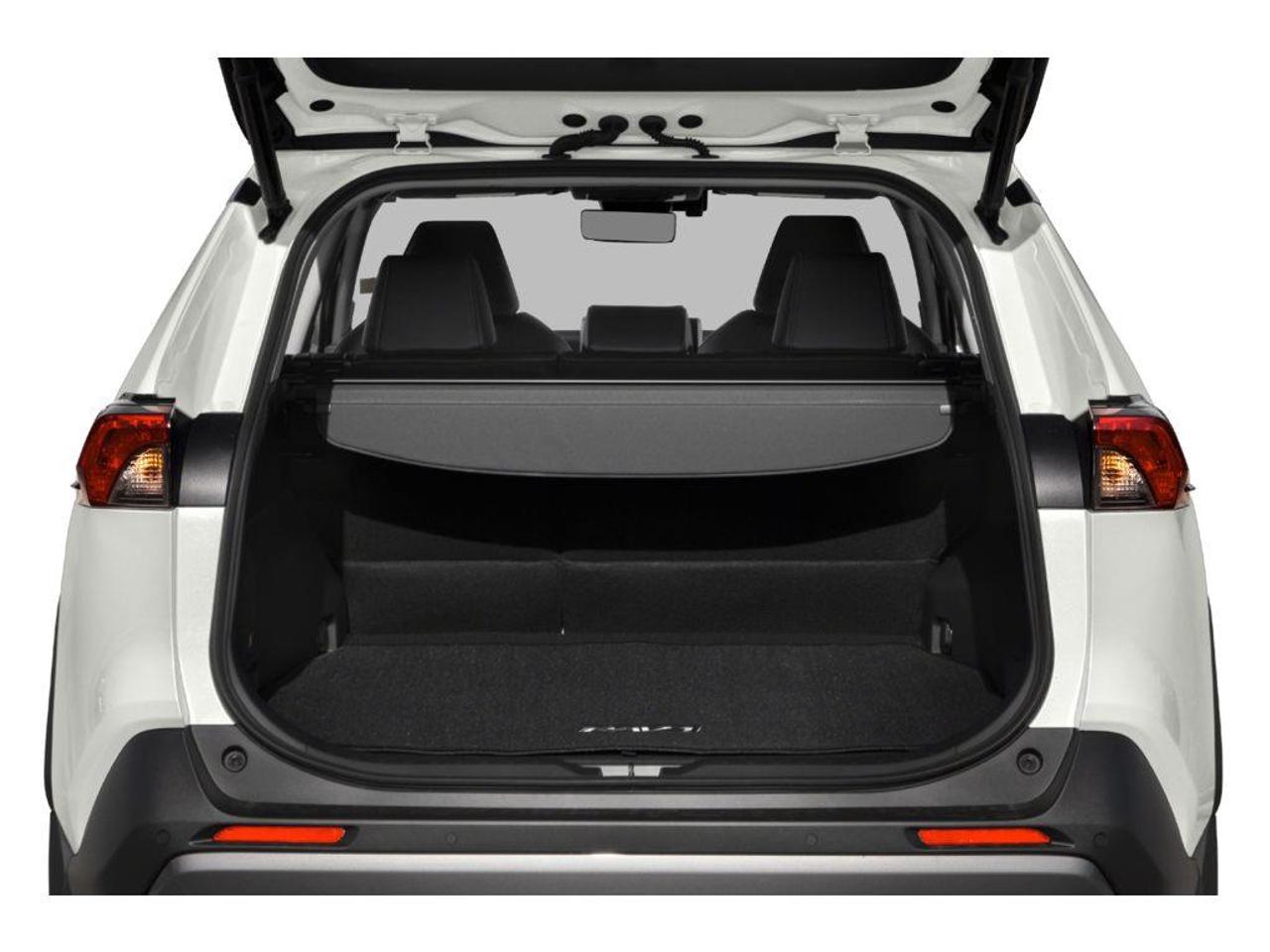 2019 Toyota RAV4 Limited 4dr All-wheel Drive Photo