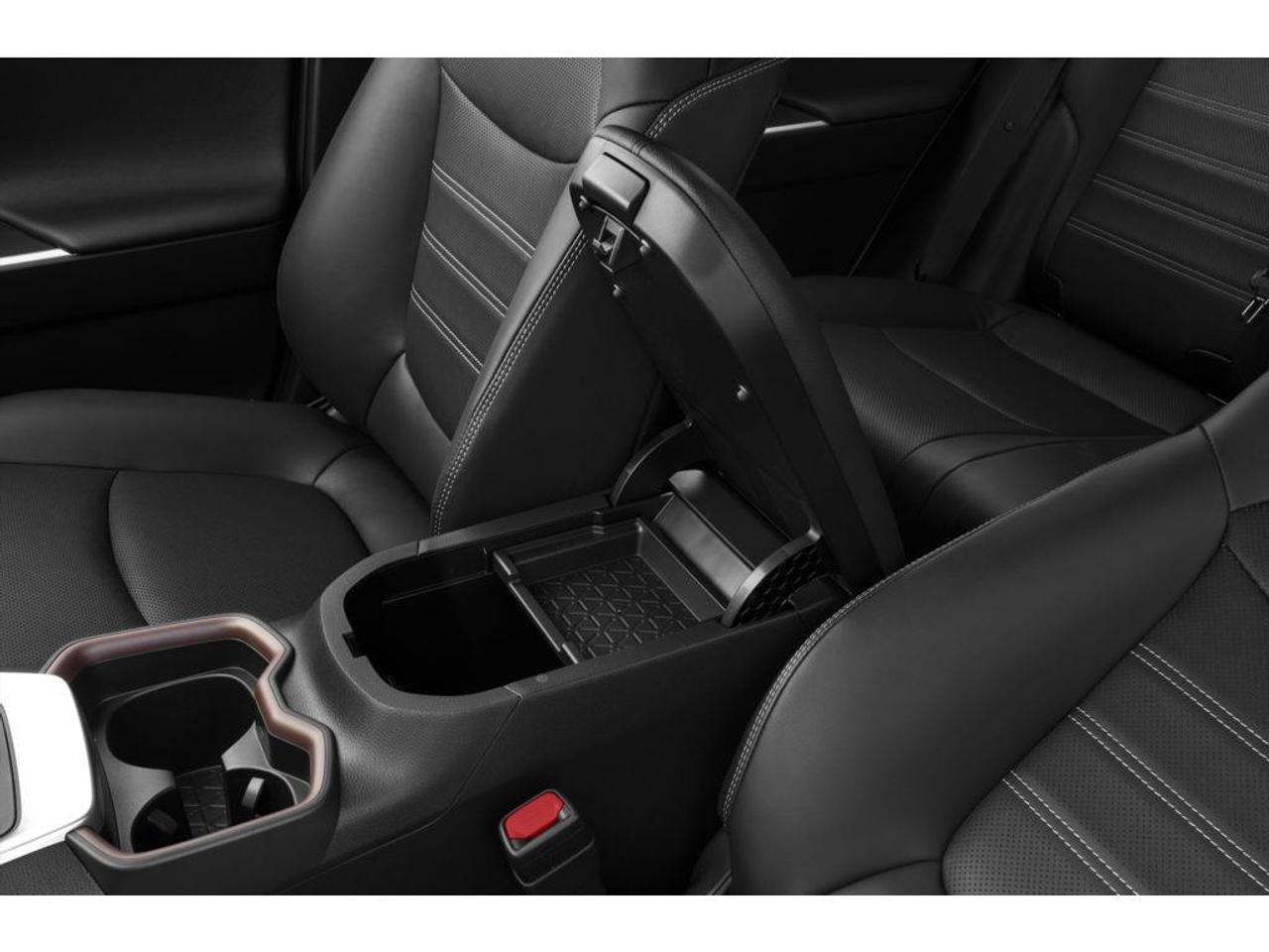 2019 Toyota RAV4 Limited 4dr All-wheel Drive Photo