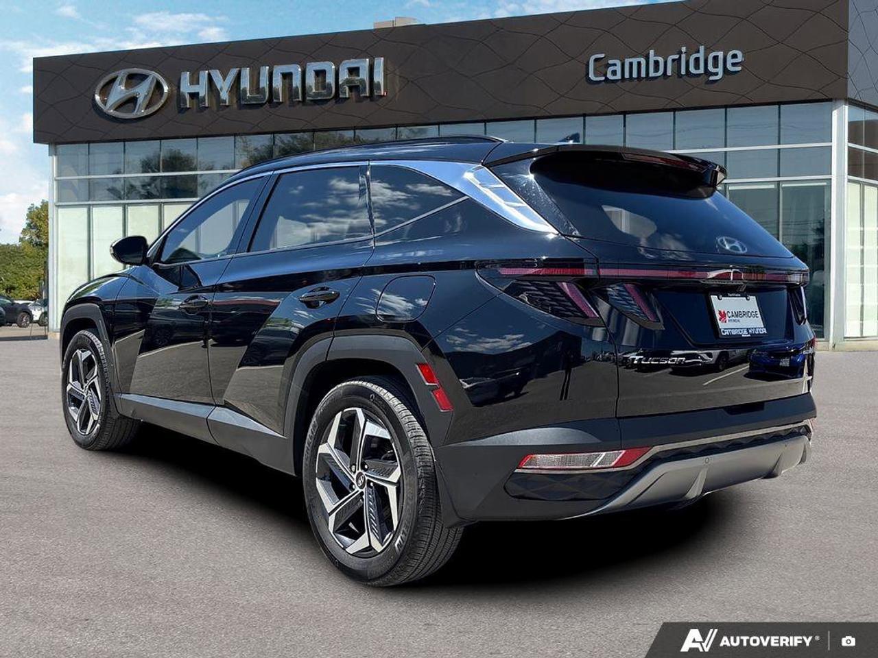 2024 Hyundai Tucson Hybrid Hybrid Luxury   NO ACCIDENTS ONE OWNER   6.3L/100K Photo
