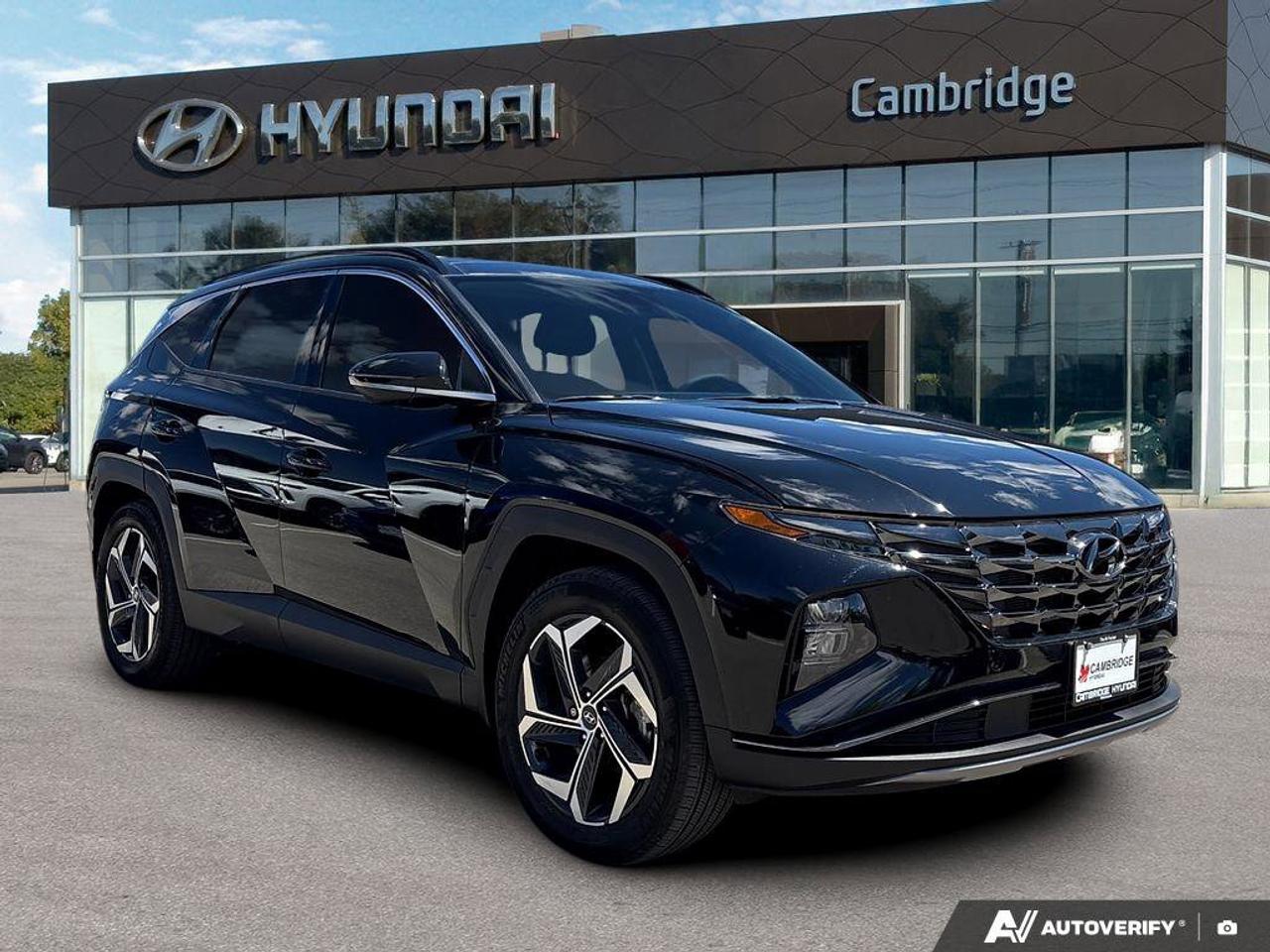 2024 Hyundai Tucson Hybrid Hybrid Luxury   NO ACCIDENTS ONE OWNER   6.3L/100K Photo