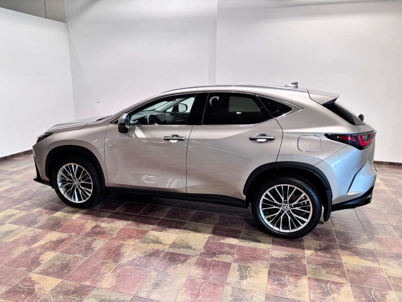 2026 Lexus NX 350 LUXURY PACKAGE - 1 OWNER Photo