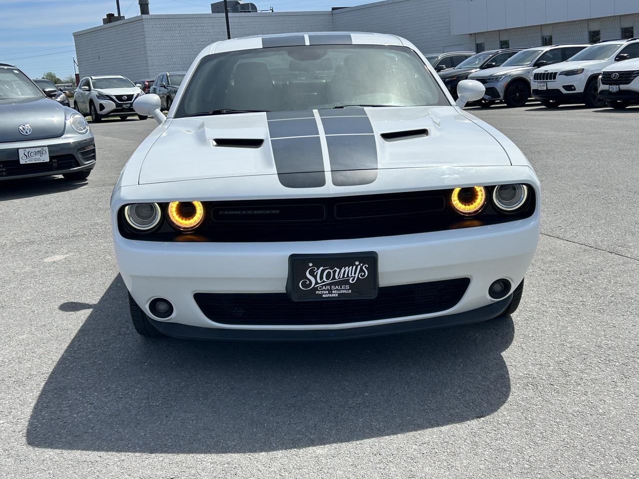 2017 Dodge Challenger SXT Plus LEATHER SUNROOF CALL NAPANEE 613-354-2100 Photo