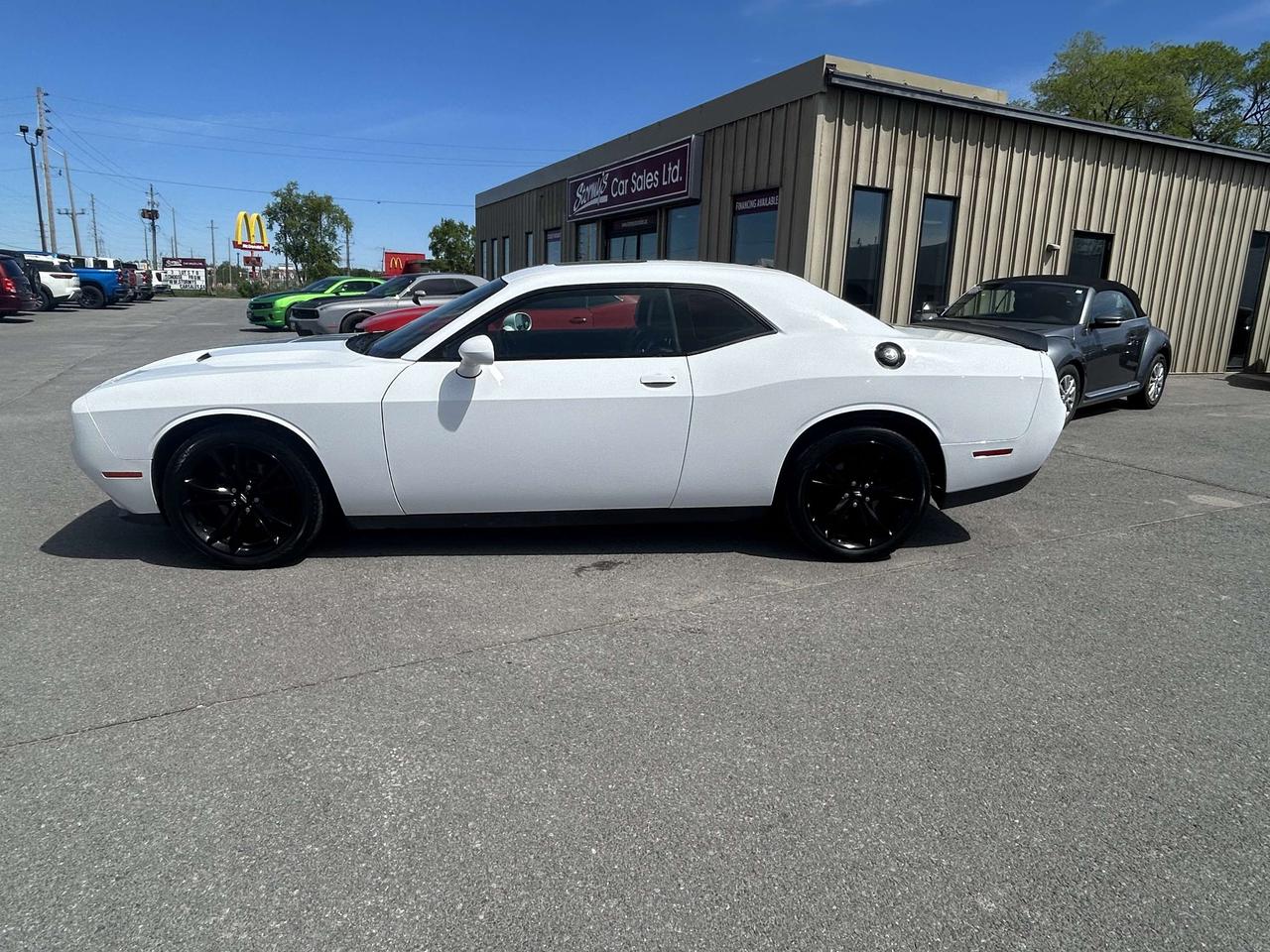 2017 Dodge Challenger SXT Plus LEATHER SUNROOF CALL NAPANEE 613-354-2100 Photo