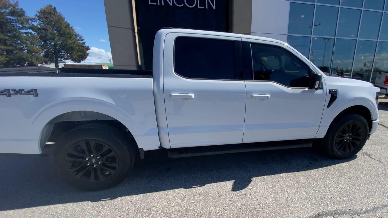 2024 Ford F-150 XLT Photo