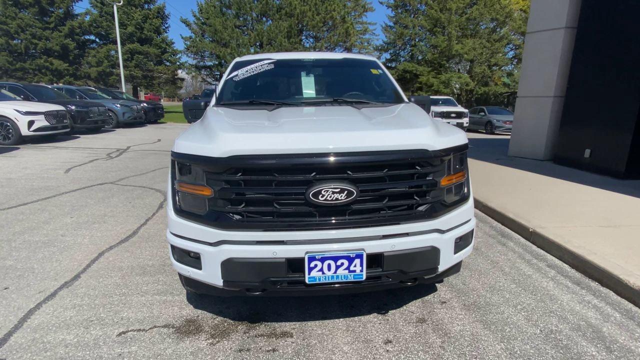 2024 Ford F-150 XLT Photo