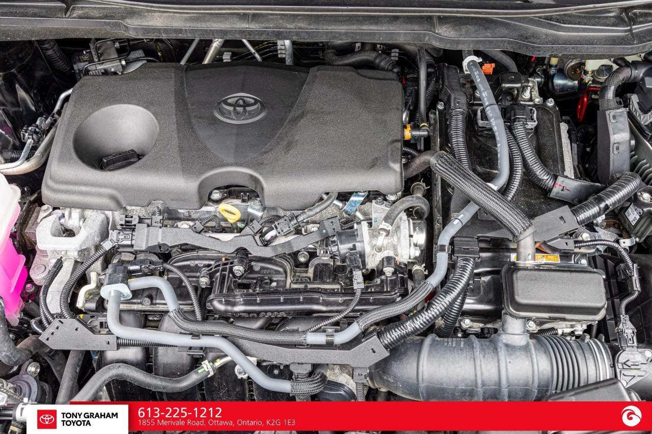 2025 Toyota Sienna XLE 8-Passenger Photo