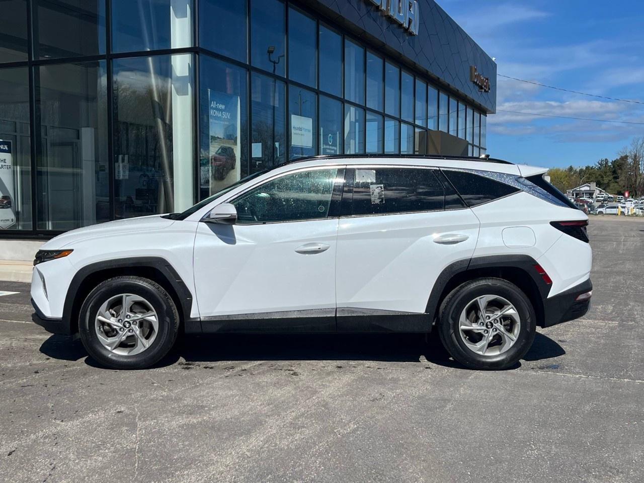 2024 Hyundai Tucson TREND AWD Photo