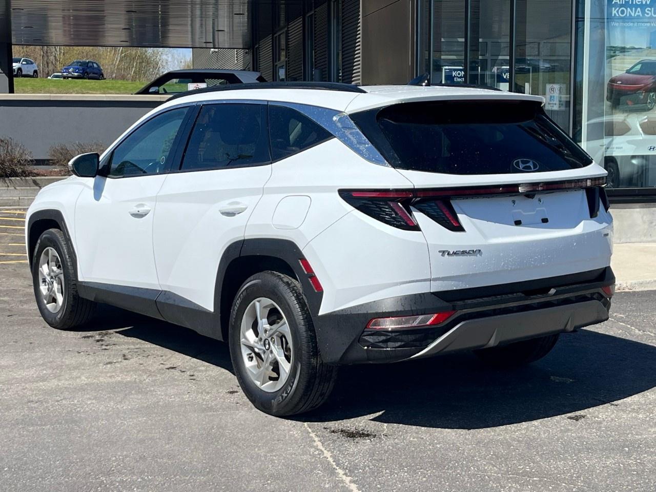 2024 Hyundai Tucson TREND AWD Photo