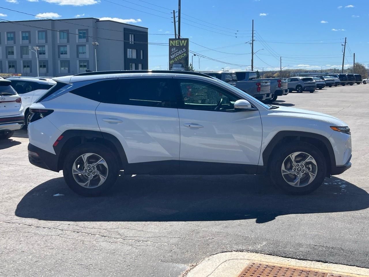 2024 Hyundai Tucson TREND AWD Photo