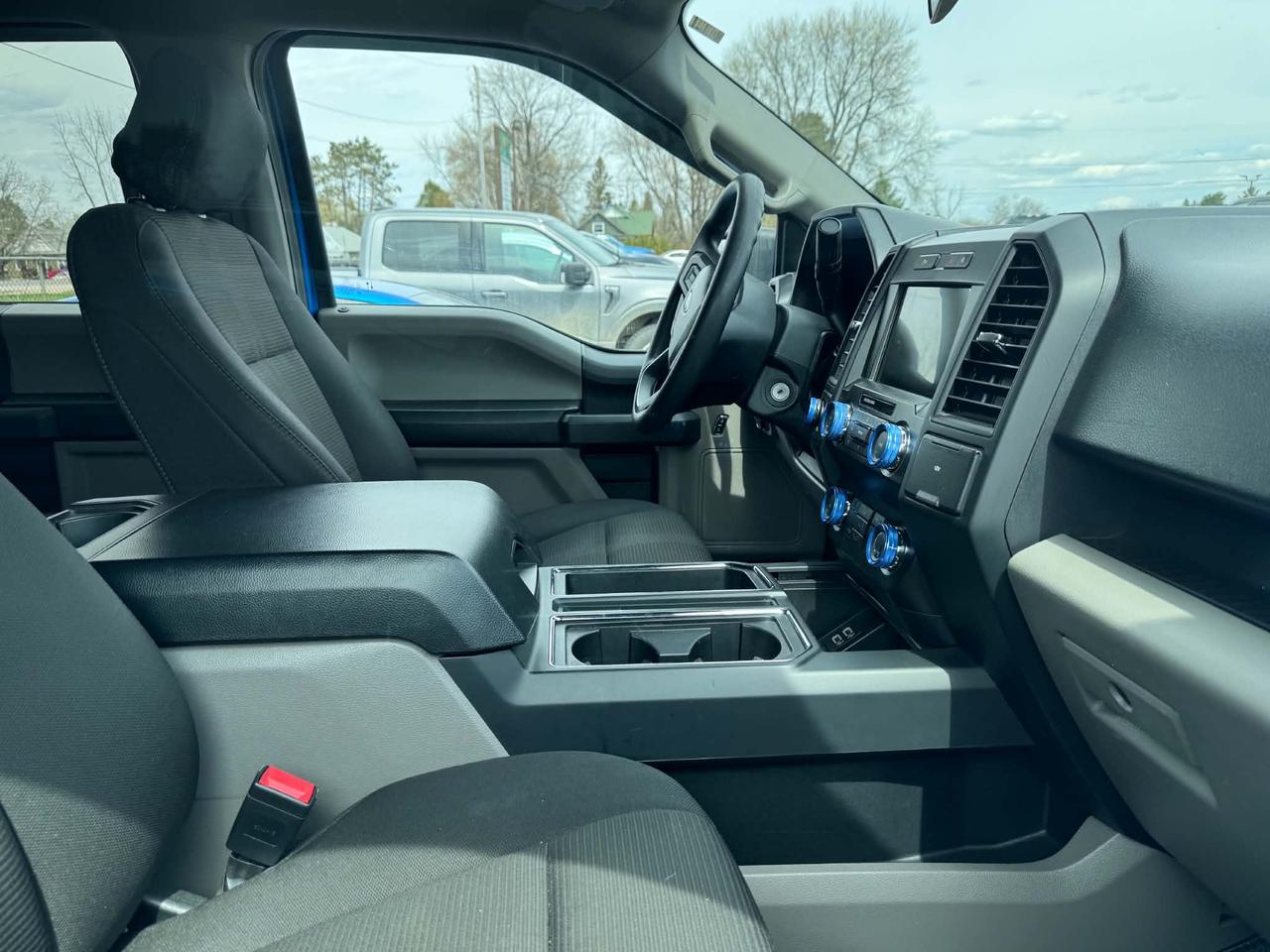 2019 Ford F-150 XL Photo
