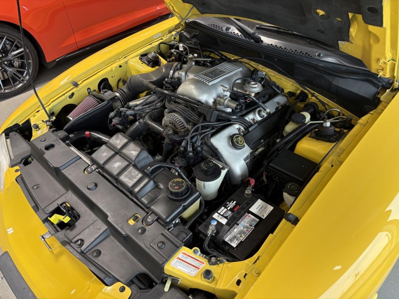1998 Ford Mustang SVT Cobra  SVT COBRA W/ SALEEN KIT Photo