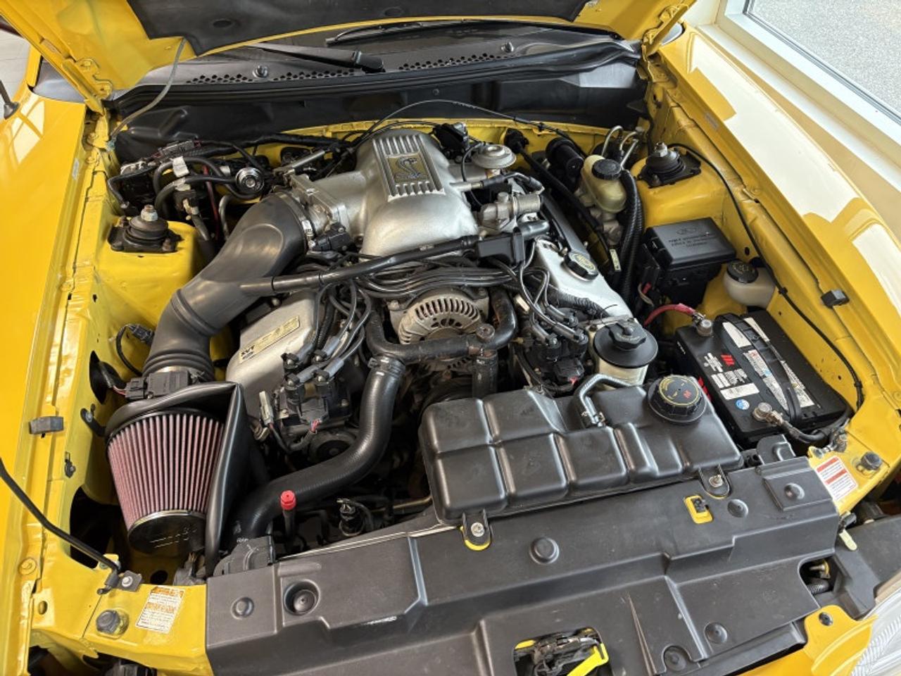 1998 Ford Mustang SVT Cobra  SVT COBRA W/ SALEEN KIT Photo