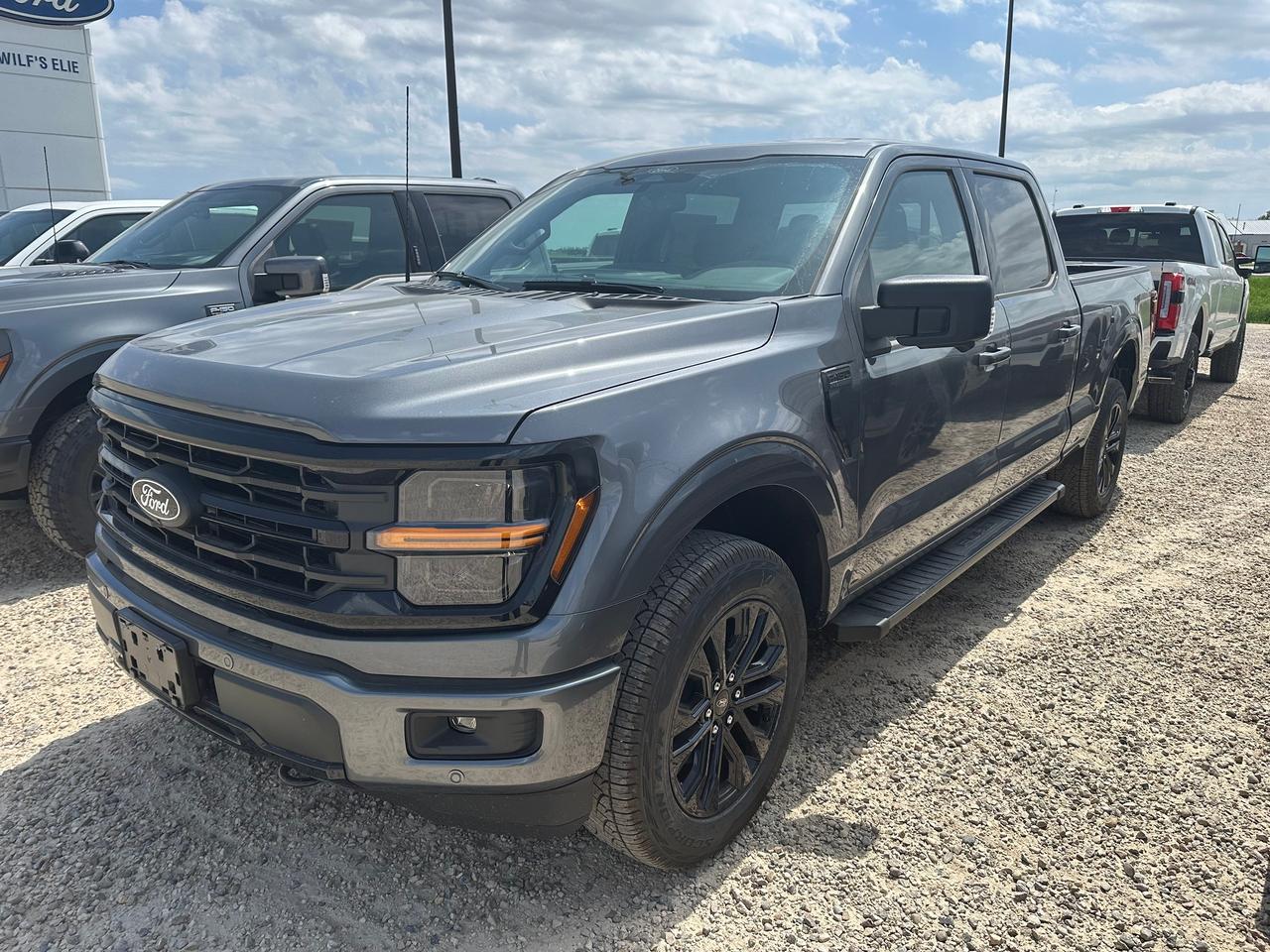 2026 Ford F-150 XLT 4WD SuperCrew 6.5' Box 302A Photo