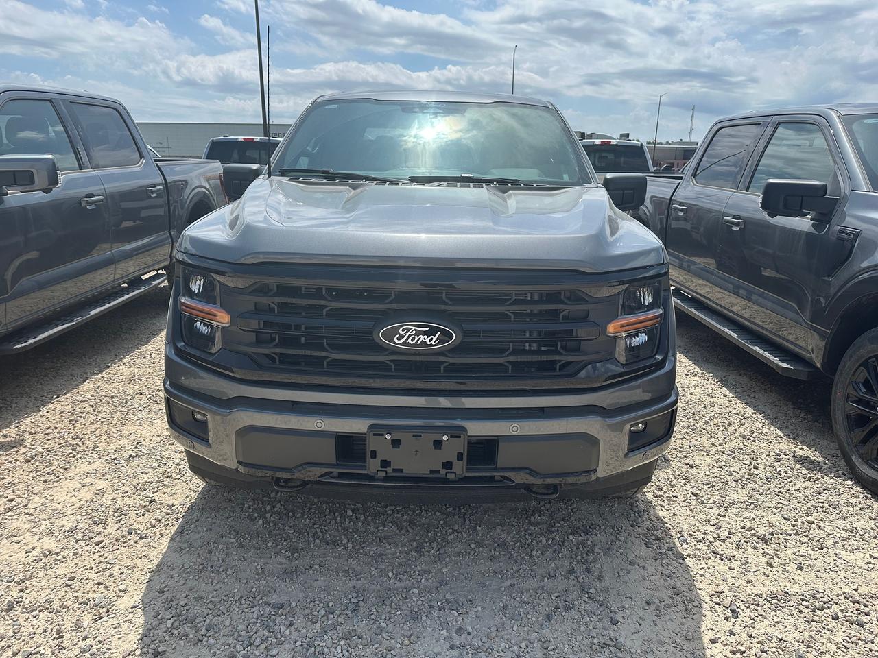 2026 Ford F-150 XLT 4WD SuperCrew 6.5' Box 302A Photo